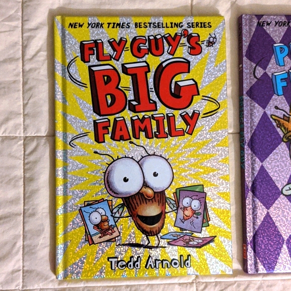 Fly Guy by Tedd Arnold - Picture 4 of 7